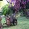 Spacious villa in Can Trabal with private pool and jacuzzi 980 m² - Can Trabal