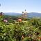 Cosy House in Gattaia with Shared Pool - Gattaia