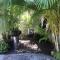 Studio charmant à Basse Terre, vue sur jardin, 15 m² - Бас-Тер
