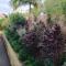 One bedroom apartement with city view enclosed garden and wifi at Funchal 4 km away from the beach - Фуншал