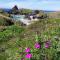 1 Bed Caravan Sleeps 2 - Parking Garden Pets