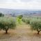 Home set in olive grove with stunning views