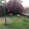 P Delgada 3-Bed House Sleeps 6 Parking & SeaView