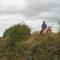 Domaine des Pierres Jumelles-balade à cheval-chambre d'hôtes Mayenne - Sainte-Gemmes-le-Robert