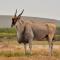 De Hoop Collection - Vlei Cottages