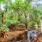 The Wilds Villa Gir Jungle Stay with Swimming Pool