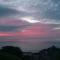 Hollies and Ilfracombe Harbour View