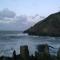 Hollies and Ilfracombe Harbour View