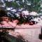 Large Family House with Garden and Mountain View - Lugo - Argozón
