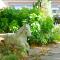 Hotel Gruber