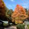 Amber Lantern Motel - Lake George