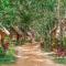 vKirirom Pine Resort