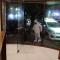 Hotel Darshan Vishwas