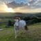 Pukeatua Farmstay