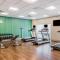 Holiday Inn Express & Suites - Tampa North - Wesley Chapel, an IHG Hotel