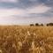 Borgo Le Colline Luxury Agriturismo in Tuscany