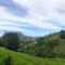 Tiger Hill Homestay - Ooty