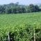 Agriturismo Palazzo Bandino - Wine cellar, on reservation restaurant and spa