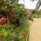 Comfortable Studio with Sea View in Foulpointe - 30 m²