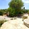 Spacious villa with pool in Bari 100 m² Lush garden