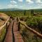 Monte Adentro