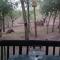 Coga Cottage - Marloth Park