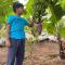 Jandyal Farm House