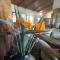 St. Lucia Wetlands Guest House