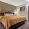 Econo Lodge Inn & Suites Flowood