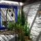 Charming house in Picón with private pool. - Picón