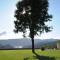 Elegant Villa Near Vieira do Minho with Pool