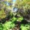 Elegant House in Calheta, Sea View - Calheta