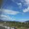 Fío Fío Patagonia