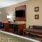 Comfort Inn & Suites Pittsburgh - Питтсбург