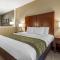 Comfort Inn & Suites - Pittsburgh