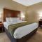 Comfort Inn & Suites Pittsburgh - Питтсбург