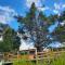 Terra Newen Pucon Family Suites