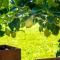 Gartenheim Tramin