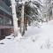 Aspen Mountain Condominiums 1C