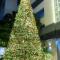 Shama Lakeview Asoke Bangkok - Bangkok