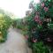 Elegant Villa in Sant Miquel de Balansat with Private Pool - 圣米克尔德巴兰