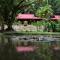 Esquinas Rainforest Lodge