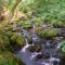 The Dolgoch