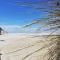 Joli appt cocooning au pied des dunes