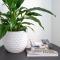 Sojourn Apartment Hotel - Riddiford