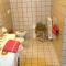 Charming House near Monteciccardo with Private Pool