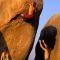Royal Homestay New Hampi