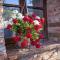 Bright apartment in Montepulciano with shared pool - 45 m²
