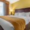 Comfort Inn & Suites - Dover