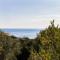 One bedroom apartement at Pisciotta 200 m away from the beach with furnished terrace